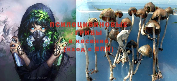 амф Алексеевка