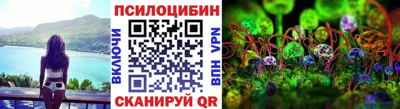 блэк спрут зеркало  Жигулёвск  Псилоцибиновые грибы Psilocybe 